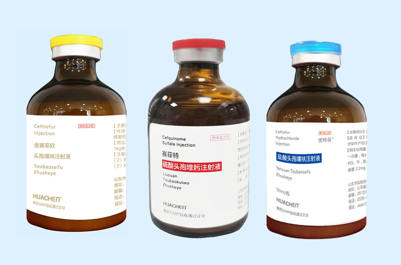 頭孢.jpg